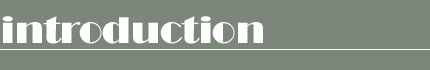 introduction introduction